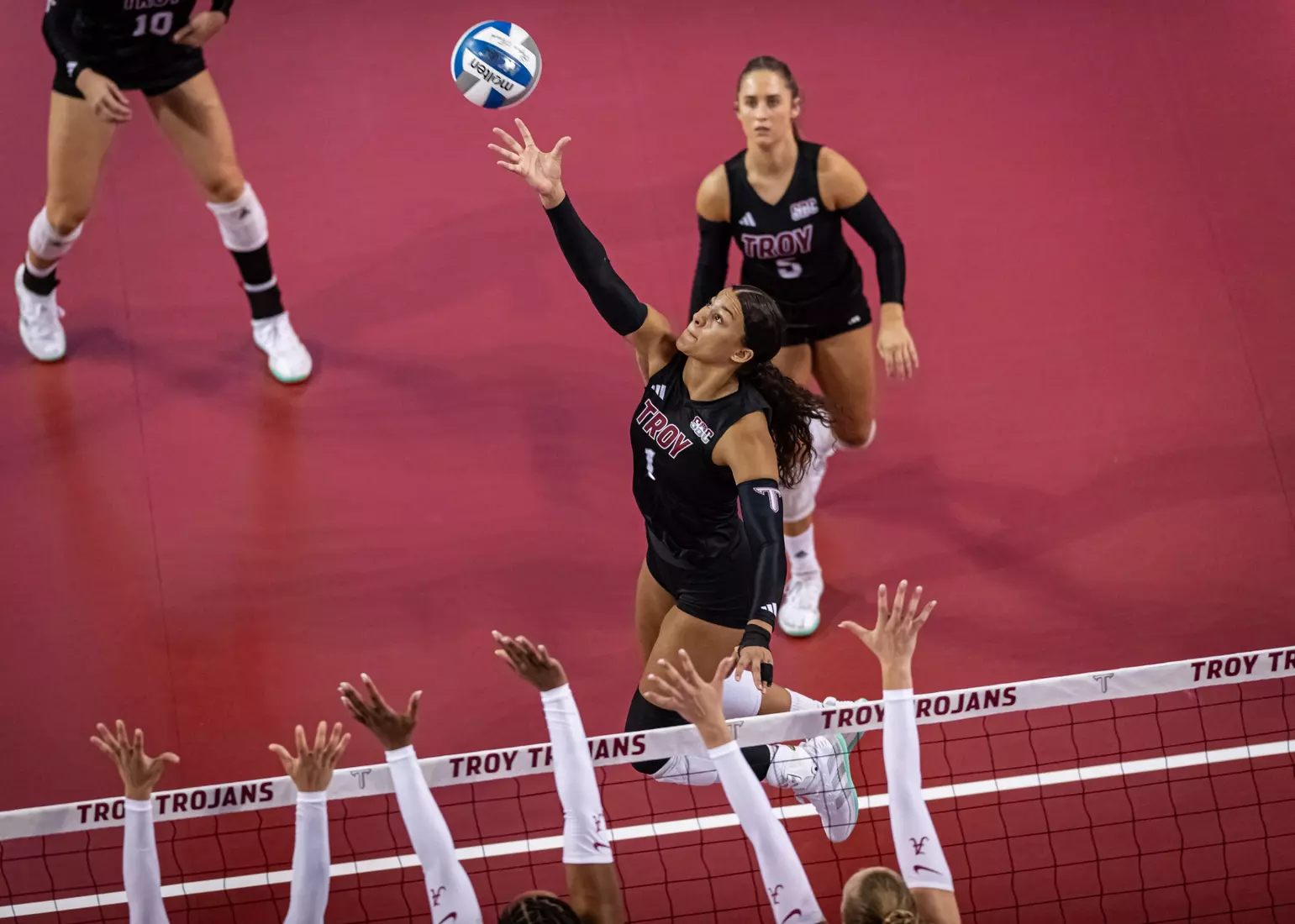 2023 Troy VB vs. Alabama _ Chris Davis