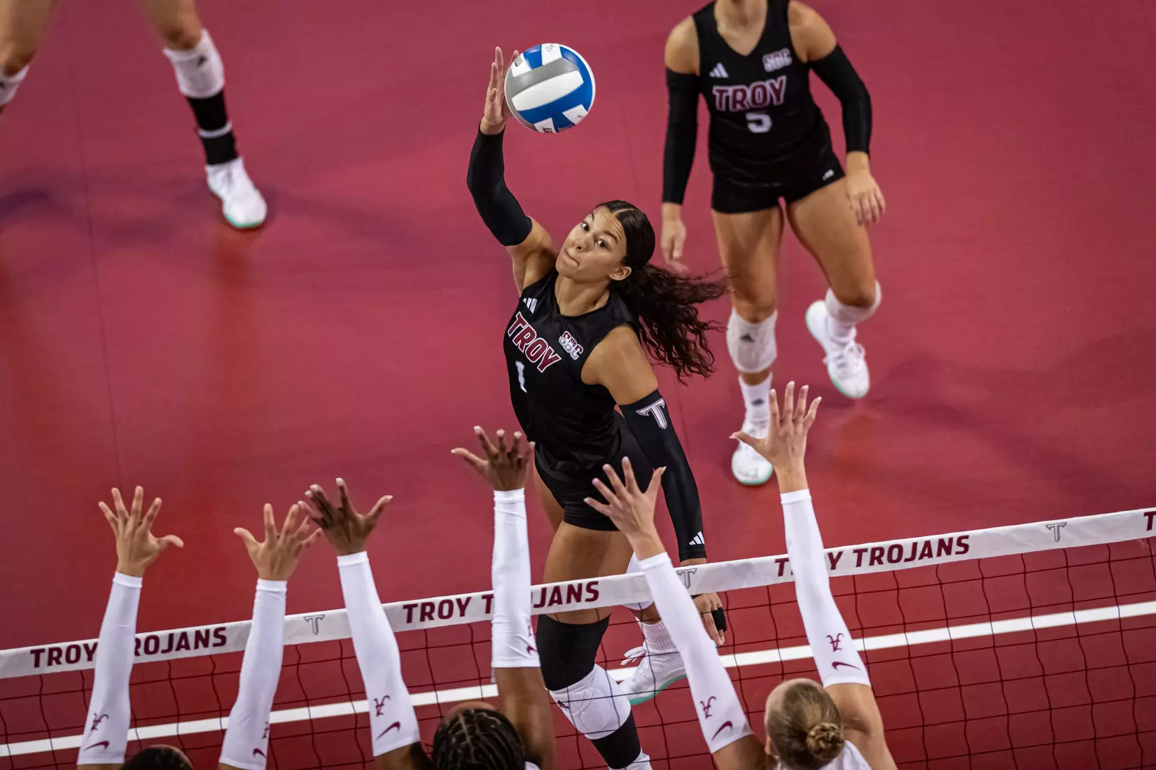 2023 Troy VB vs. Alabama _ Chris Davis