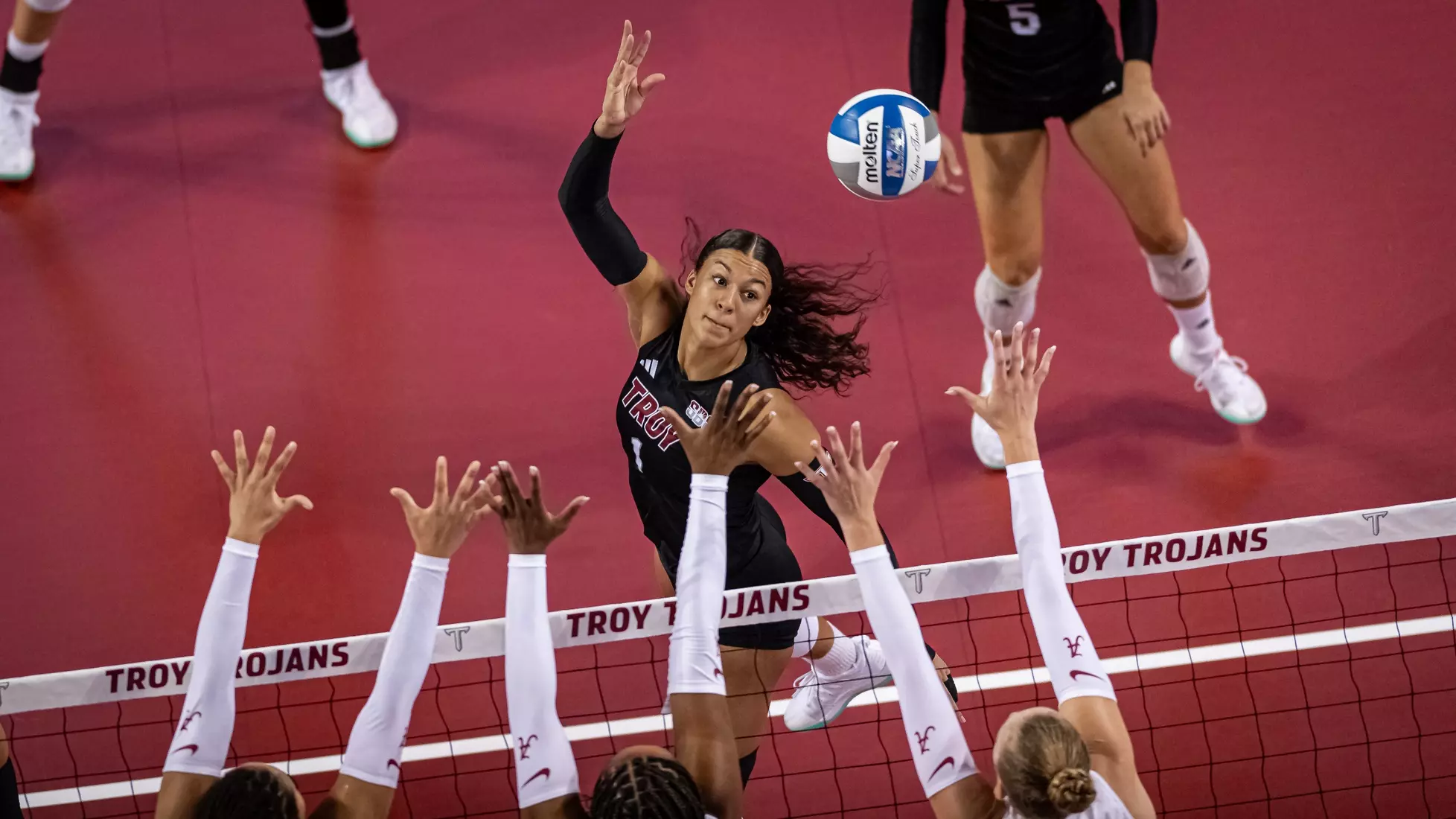 2023 Troy VB vs. Alabama _ Chris Davis