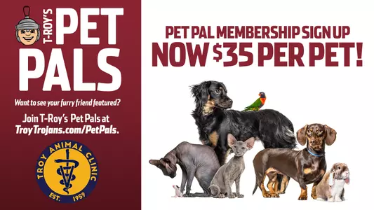 Pet Pals 25