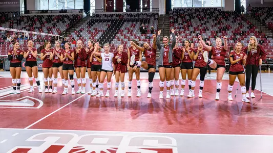 VB Team