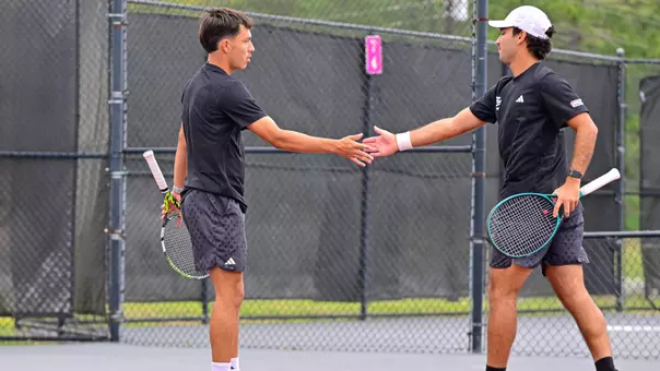 Drozdowski and de Brito