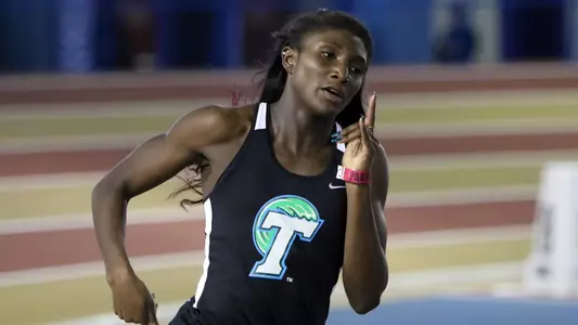 Maya Harewood UAB Vulcan 2017