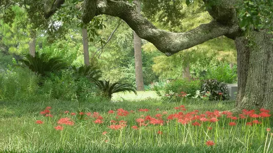 Tulane Golf Facilities