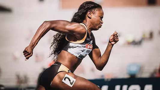 Jasmine Blocker Action