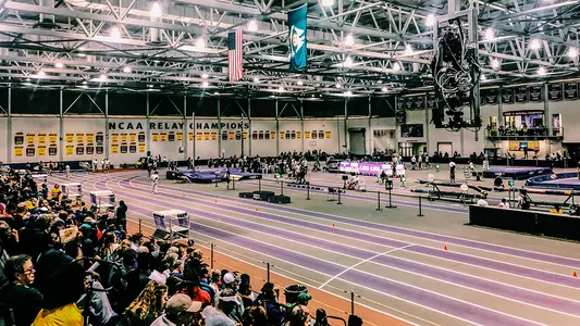 LSU Purple Tiger Meet