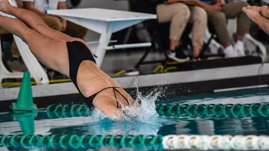 Swimming & Diving Action