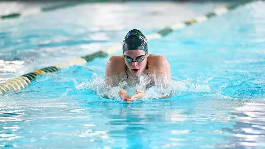 Swimming & Diving Action