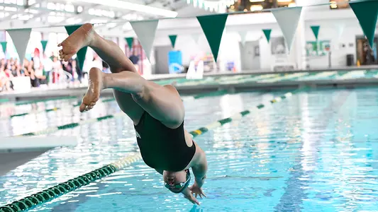 Swimming & Diving Action