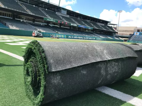 Yulman Stadium Turf