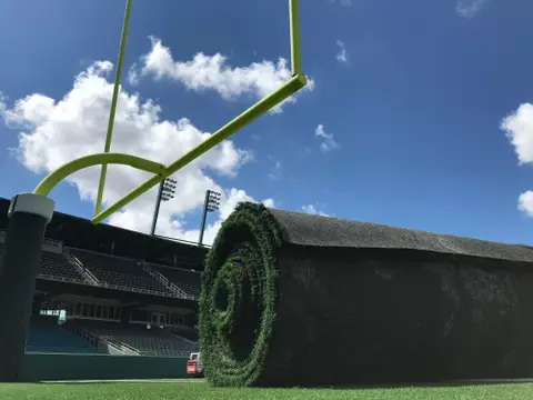 Yulman Stadium Turf