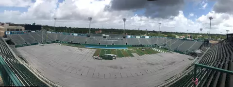 Yulman Stadium Turf