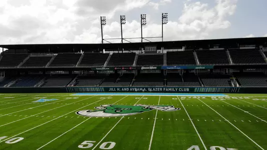 Yulman Stadium Turf