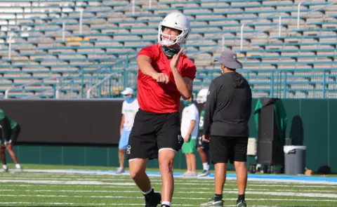 Quarterbacks