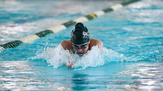 Swimming & Diving Action