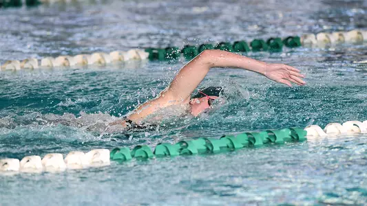 Swimming & Diving Action
