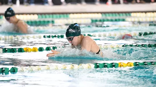 Swimming & Diving Action
