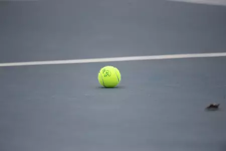 tennis ball on court