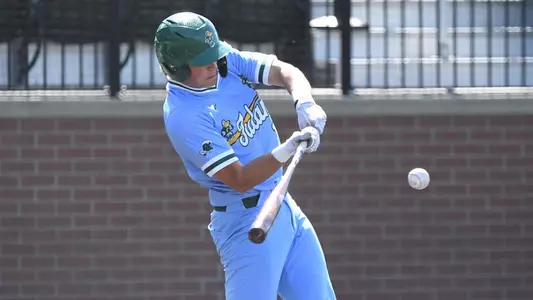 Cover Photo Baumgardt Homer Run Swing