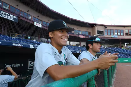 baseball