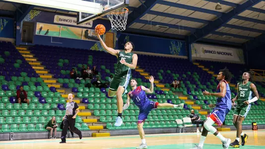 Collin Holloway