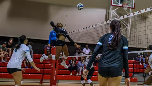 volleyball
