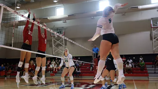 volleyball