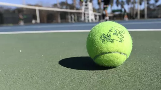 Tennis Ball