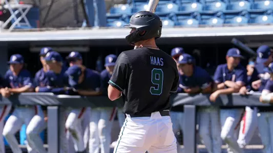 Matthias Haas