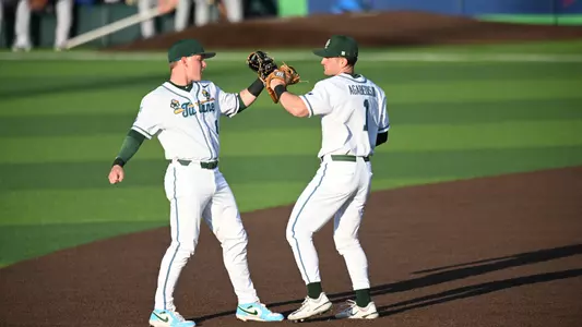 Baseball Celebration