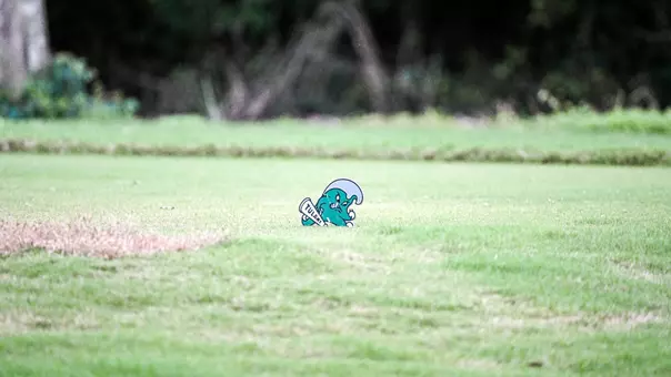 Tulane Golf