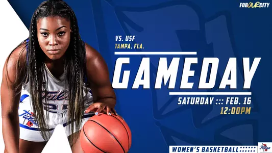 usf preview