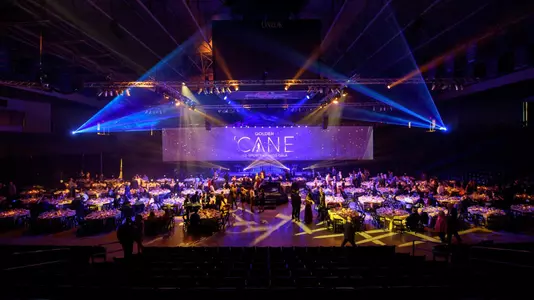 Golden 'Cane awards 2019