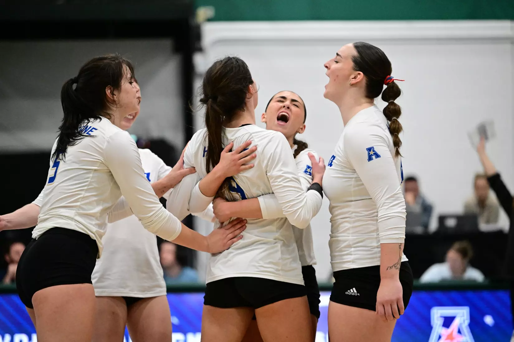 Tulsa vs. Rice in the American Championship final in the USF Corral on 11/23/25.
