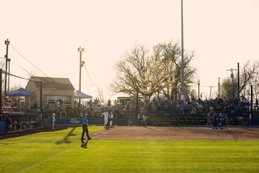 Collins Family Softball Complex at sunset