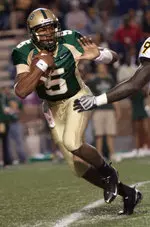 Joe Webb threw for 200 yards and a touchdown. (File Photo)