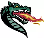 The UAB Blazer Football staff is currently seeking student video assistants for the 2013 season.