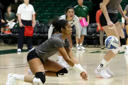 Gabby Deshotel vs Rice