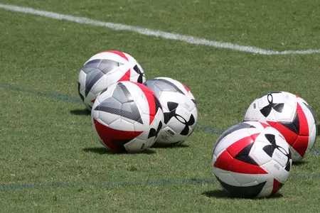 Soccer Balls