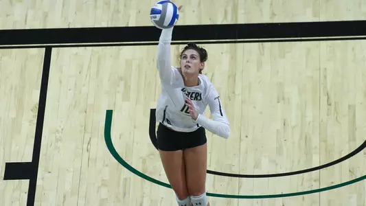 Mitchell vs MT recap pic