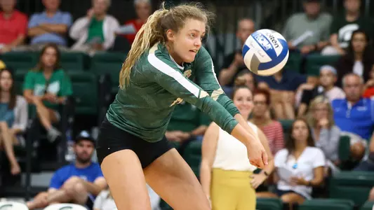 Haley Fuller for web