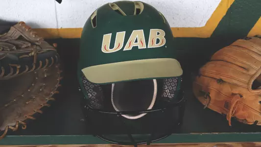Artsy SB helmet pic