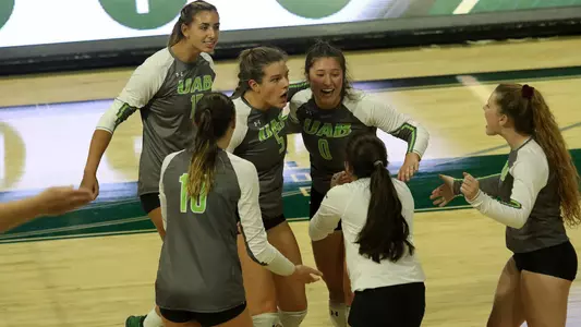 team celly grey-lime vb