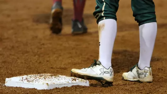 sb cleats