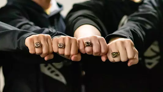 Rifle Rings