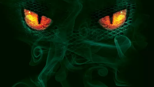 Eyes