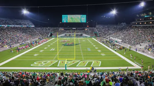 Protective Stadium
