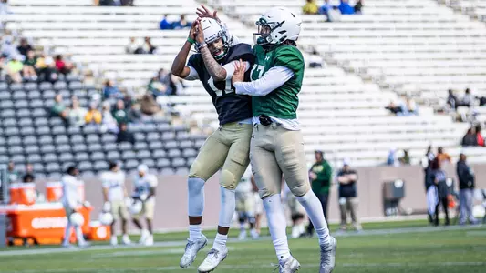 Damon Stewart Bryce Damous