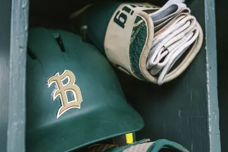 BB helmet