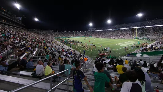 Protective Stadium